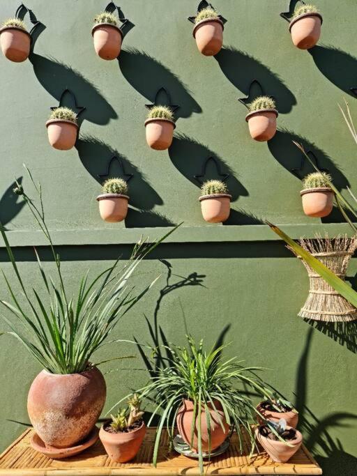 Riad Olive Privatif 4 Personnes Hotel Marrakesh Luaran gambar