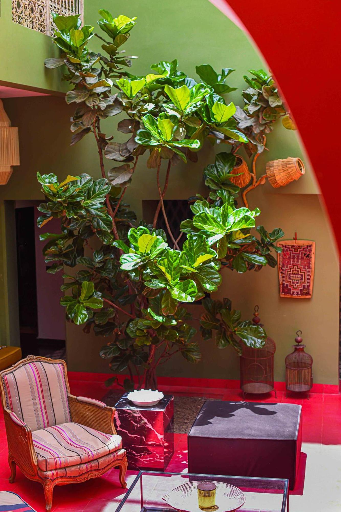 Riad Olive Privatif 4 Personnes Hotel Marrakesh Luaran gambar