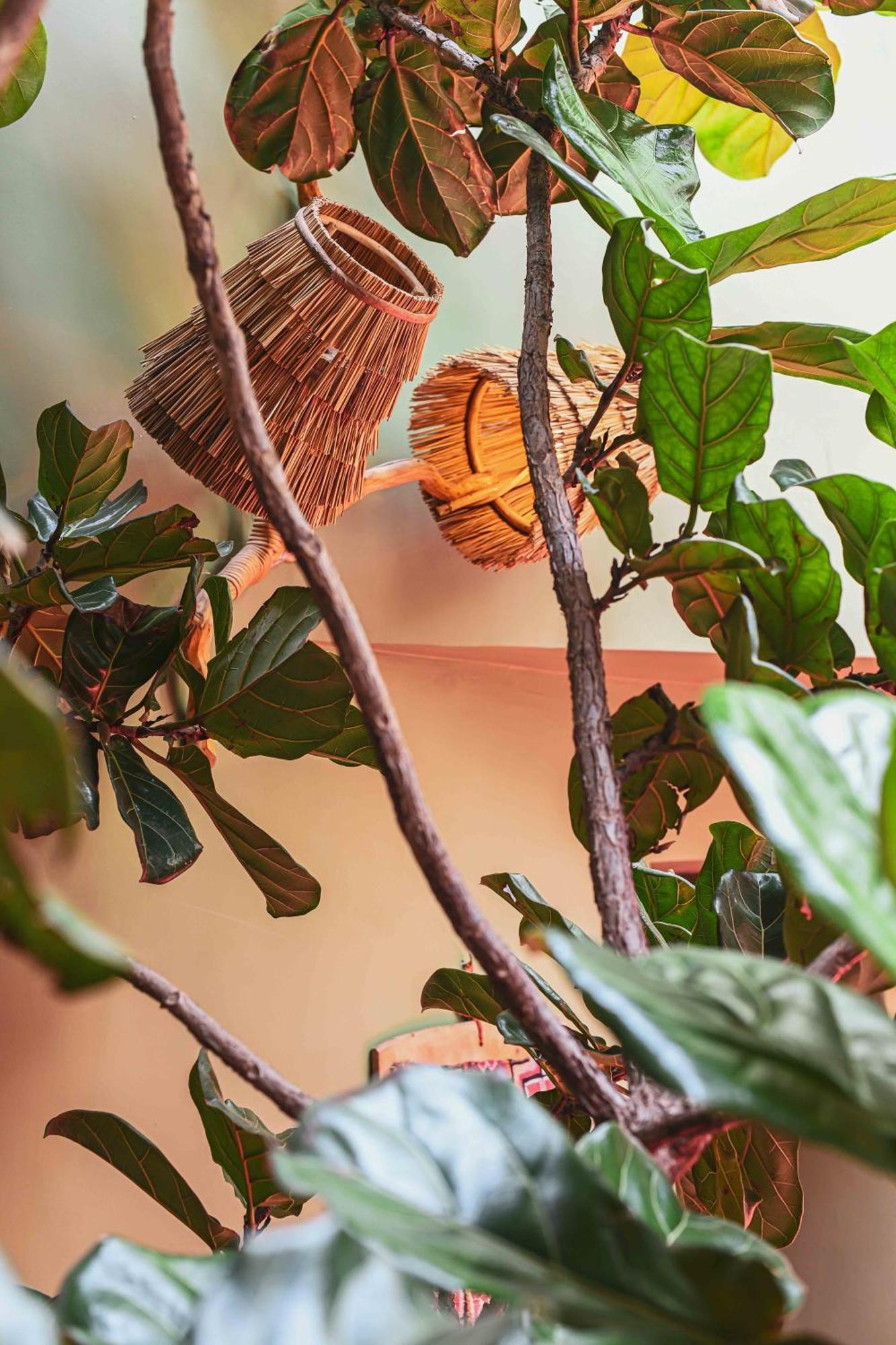 Riad Olive Privatif 4 Personnes Hotel Marrakesh Luaran gambar