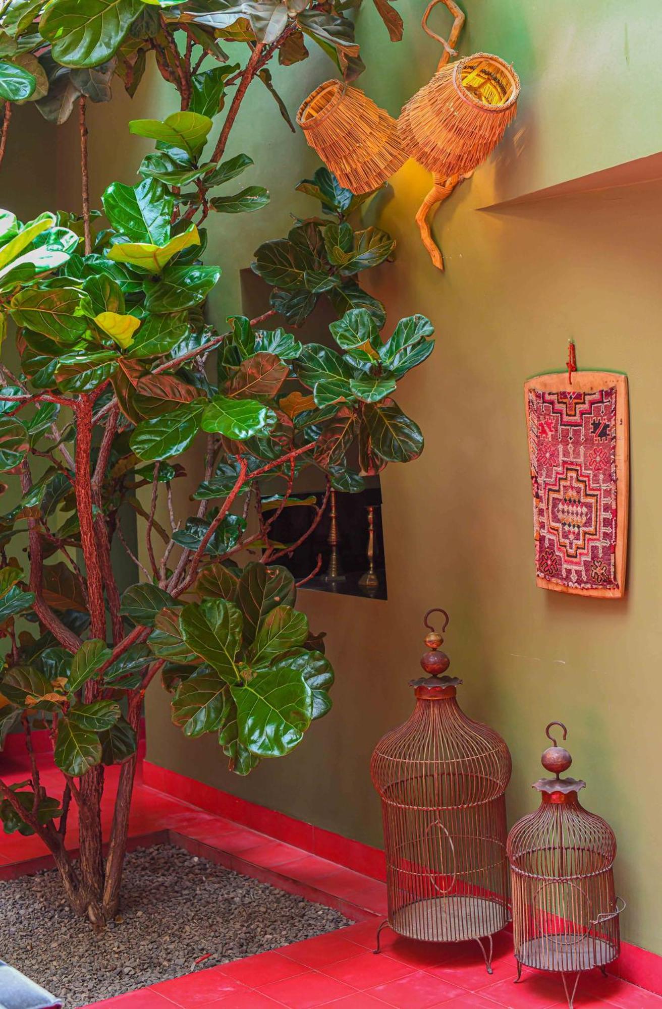 Riad Olive Privatif 4 Personnes Hotel Marrakesh Luaran gambar